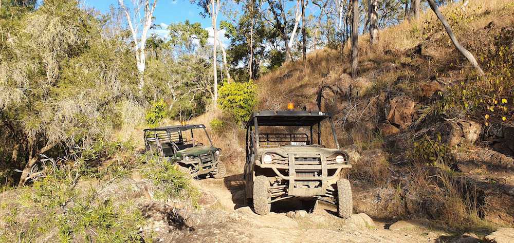 Pro_Mule_Extreme_Rock_Crawling_Stance