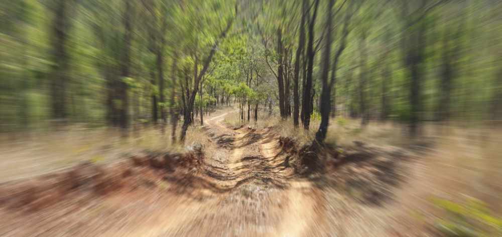 Scenery_Nature_LC_Park_0