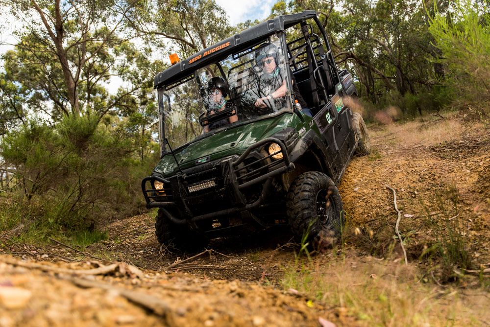 Top 10 Adventure Activities in Queensland | Oz Buggy Tours