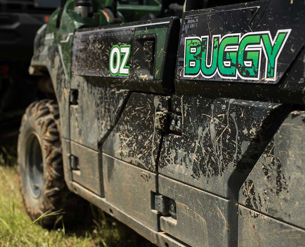 buggy-2