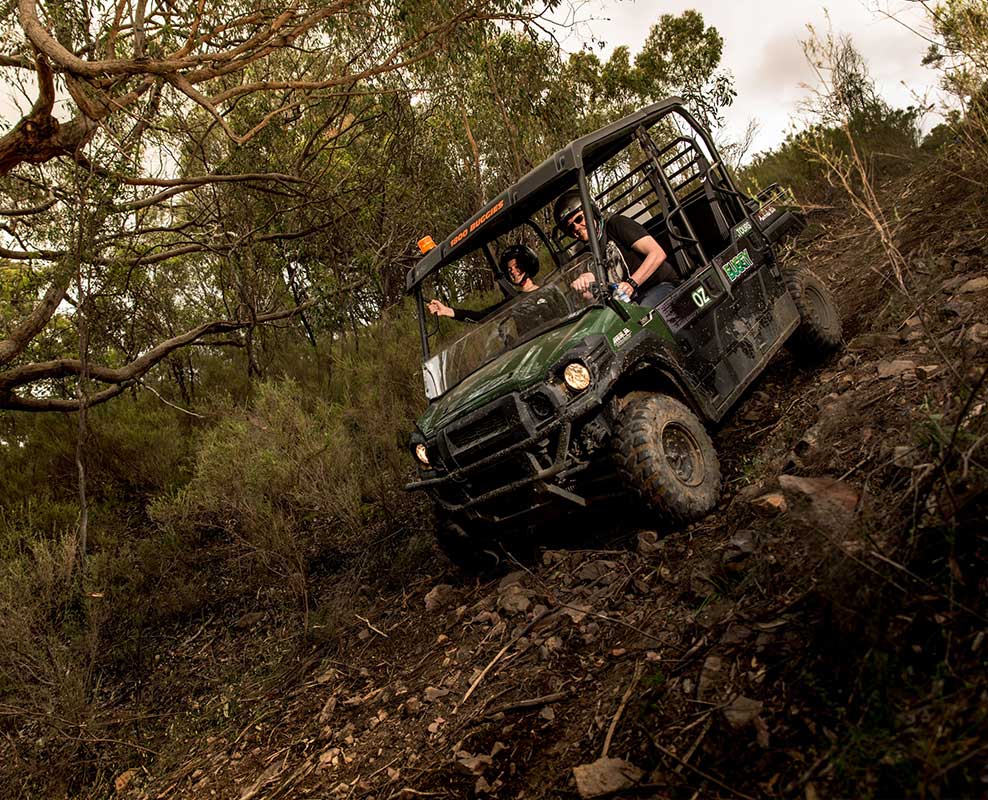 buggy-3